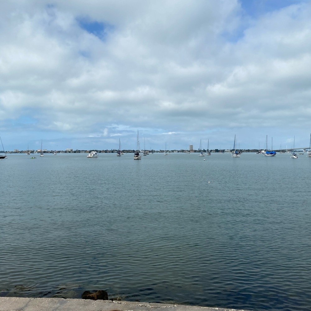 Meet your Posher, Cydne